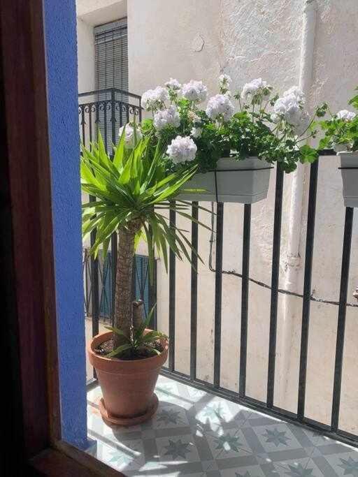 PeñíscolaCasa Ziba Casco Antiguo Wifiaa公寓 外观 照片
